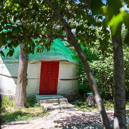 فندق Arista Yurt Camp كاراكول المظهر الخارجي الصورة