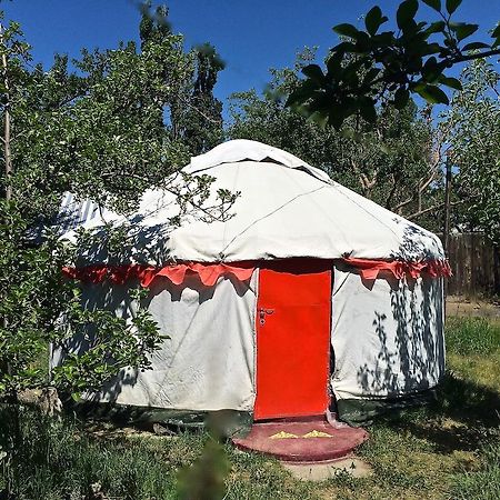 فندق Arista Yurt Camp كاراكول الغرفة الصورة